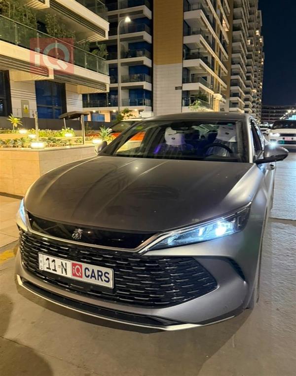 بي واي دي كوين L DM-i 2025 للبيع في العراق - بغداد